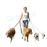 Agentura Berinka- hl�d�n�/ven�en� Va�ich mazl��k�