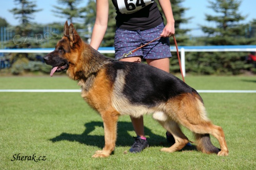 Ji� k odb�ru �t��ata NO s PP