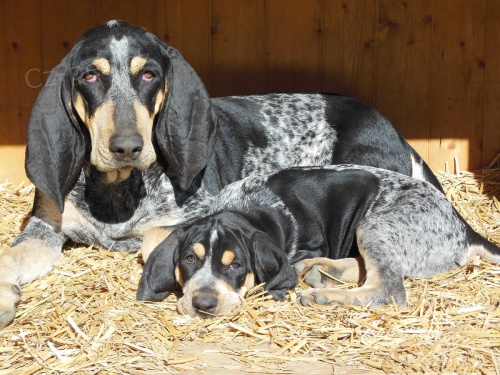 kr�sn� a netradi�n� lov.�t���tka