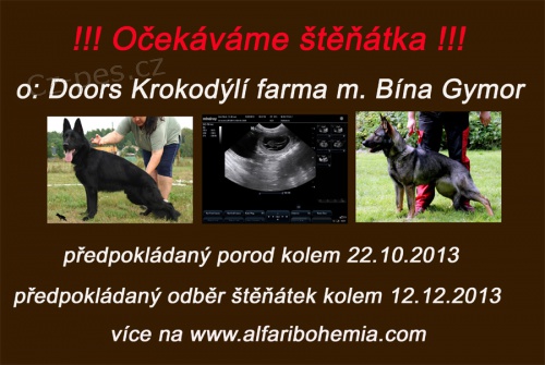 N�meck� ov��k - �t��ata s PP