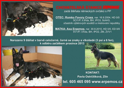 �t��ata n�meck�ho ov��ka s PP