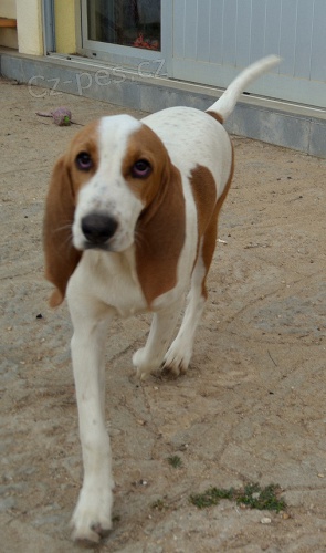 �t�n� - fenka �V�CARSK� HONI�