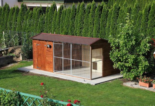 Ps� kotec,v�b�h pro psa DOMINIK