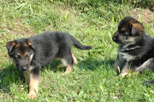 prod�m �t��ata