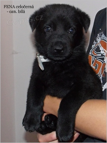 �t��ata NO s PP