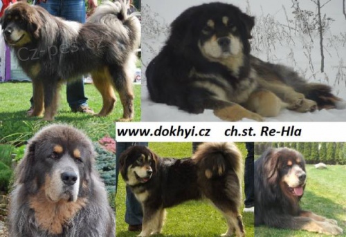 Tibetsk� doga - �t��ata s PP po kr�sn�ch rodi��ch