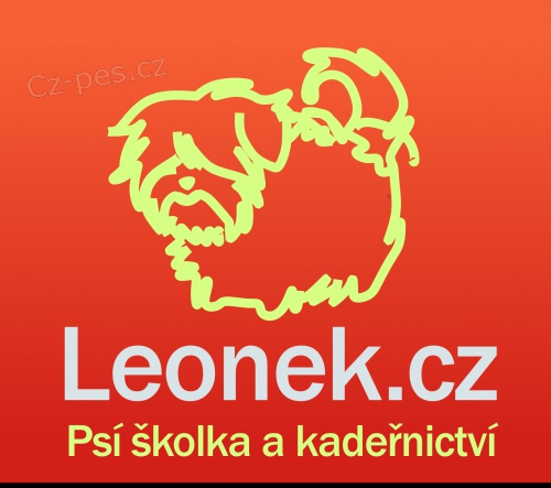 Ps� �kolka Leonek