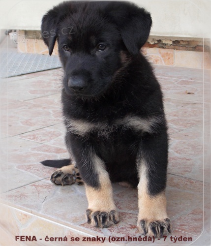 �t��ata NO s PP