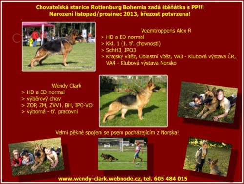 N�meck� ov��k - �t���tka s PP - odb�r koncem ledna