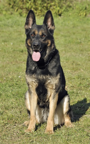 NO �t��ata s PP