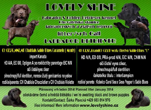 Labradorsk� retr�vr - z�znamy na �t���tka s PP