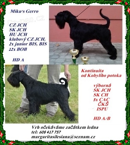 Kn�ra� st�edn� �ern�