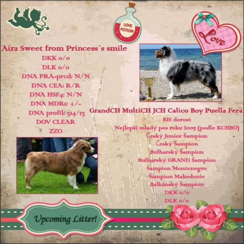 Australsk� ov��k s PP