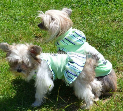 Ps� pot�eby Mon��sek