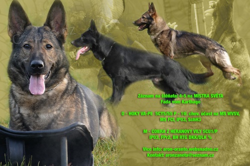 N�meck� ov��k �t���tka s PP