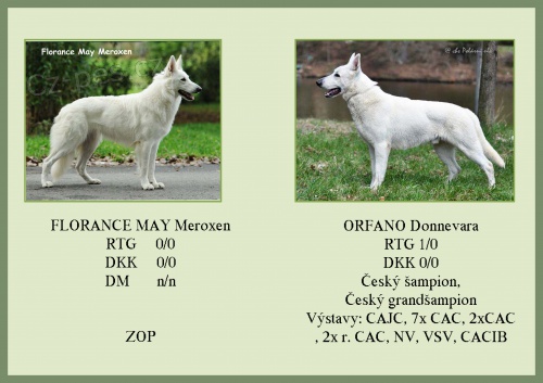 �t���tka b�l�ch �v�carsk�ch ov��k�