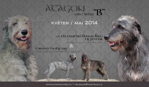 Irsk� vlkodav, �t���tka s PP