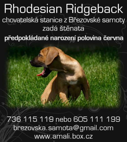 �t��ata rhodesk�ho ridgebacka s PP