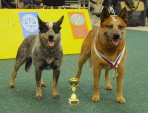 Prod�m �t��ata