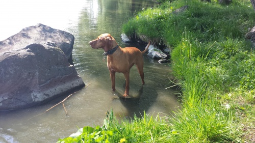 Zad�m �t��ata MOK