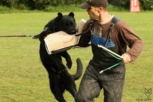 7. ro�n�k podzimn�ho obran��sk�ho z�vodu