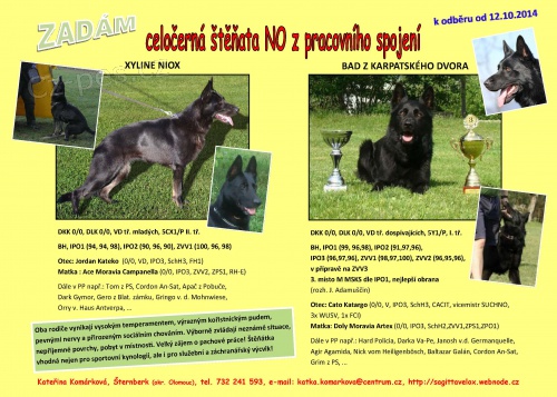 Celo�ern� �t��ata NO s PP