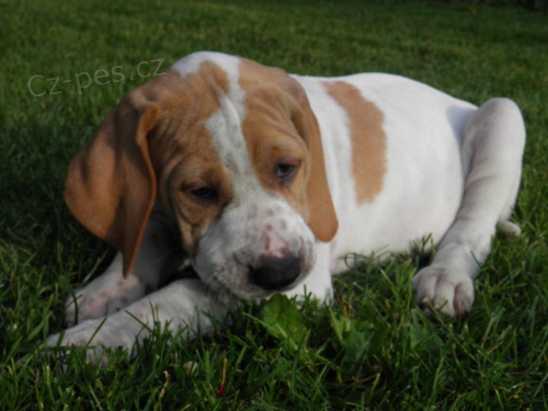 Pointr �t��ata