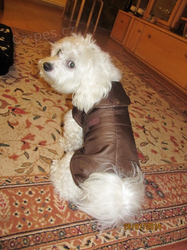 Bolo�sk� ps�k bez PP