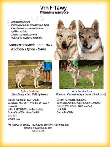 �eskoslovensk� vl��k - �t���tka s PP