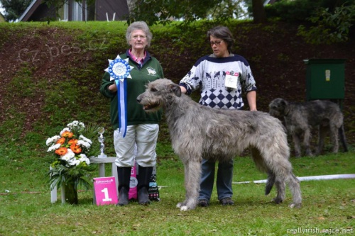 IRSK� VLKODAV �T��ATA