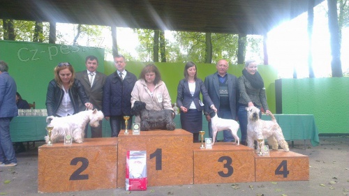 �ESK� TERI�R-KALIFA BOHEMICA