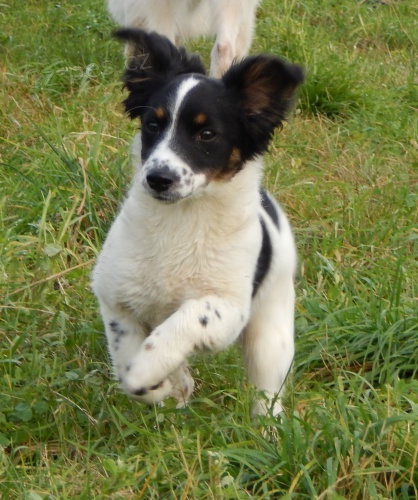 �t���tka k��enc�