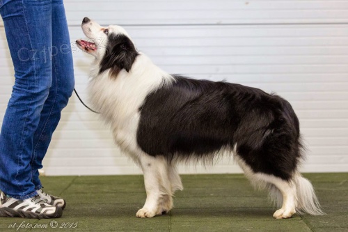 CAR Z �ESKEHO UDOLI