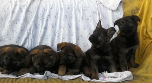 prod�m �t��ata