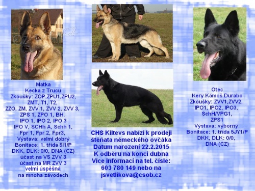 Perspektivn� �t��ata k prodeji