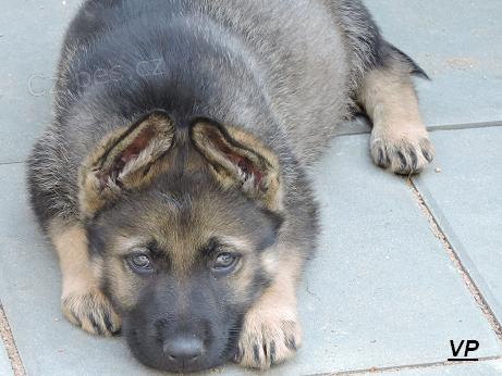 Prod�me �t��ata NO s PP- posledn� voln� fene�ky!!!