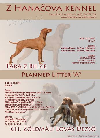 Ma�arsk� oha� dr�tosrst� - �t��ata s PP