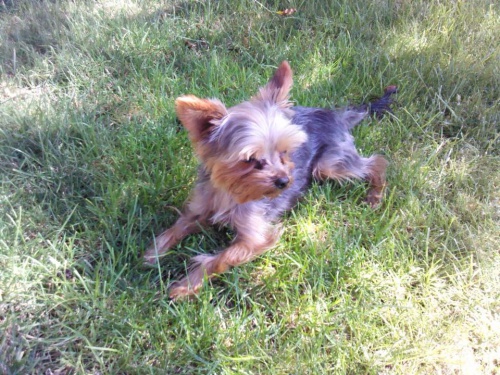 Ztratil se - hled�me