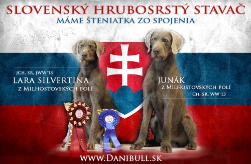 Slovensk� hrubosrst� oha�