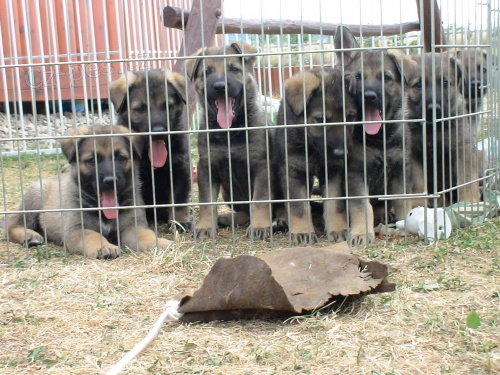 zad�me �t��ata NO