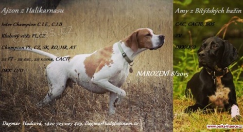 Zad�m �t���tka Pointera