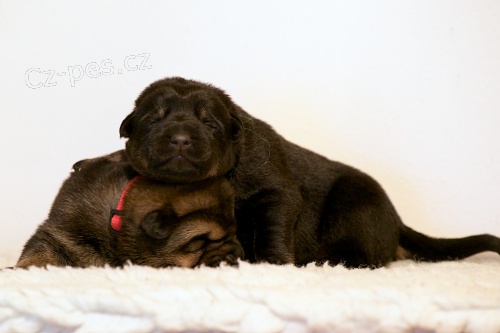 �t��ata NO s PP