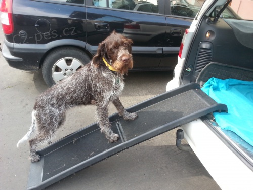 �esky fousek - nem�ck� oha�