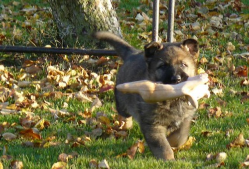 �t�n� n�m.ov��ka