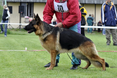 N�meck� ov��k - �t��ata s PP