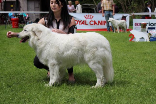 Slovensk� �uva� - �t��ata s PP