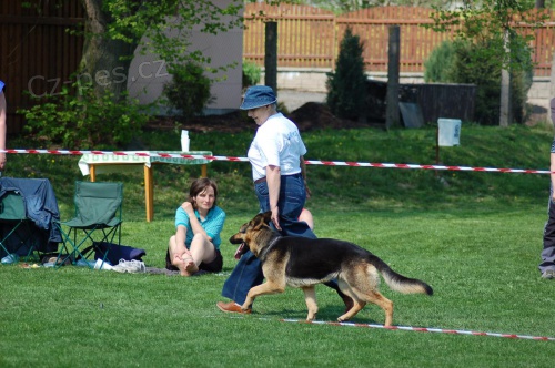 Hled�m ke kryt� s PP No barva  �/zn