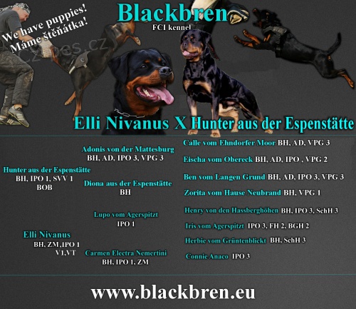 Rotvajler �t���tka