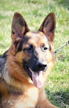 8 m�s��n� kluk