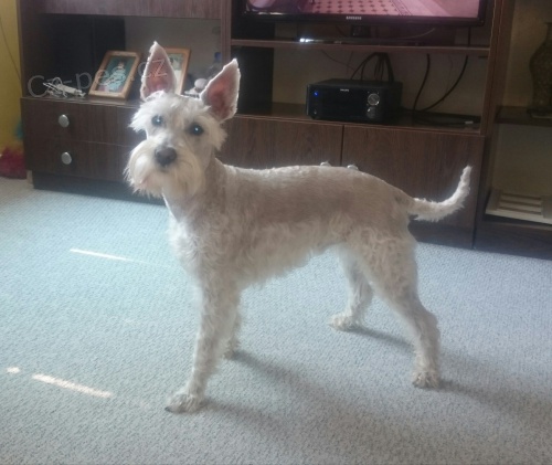 mal� b�l� kn�ra�